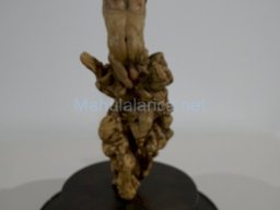 Exposición el tiempo de la Crisálida